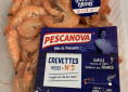 crevette
