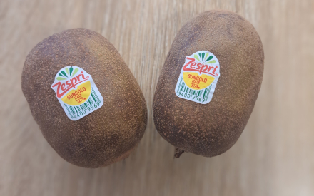 KIWI GOLD cat 2 lot de 2 pièces