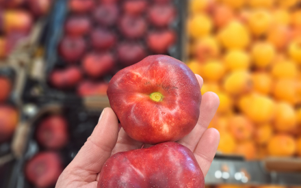 NECTARINE PLATE FRANCE CAT 2