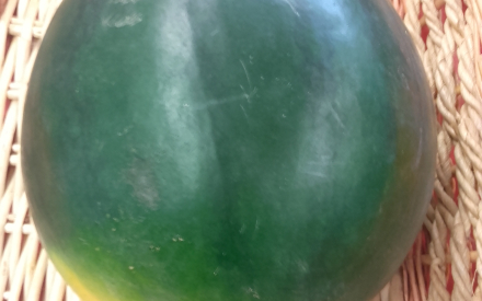 PASTEQUE AU KG ESPAGNE CAT 2