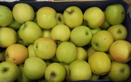 POMME GOLDEN pltx 2 rangs France le COLIS 8.90kg x 1.35€