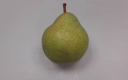 POIRE williams france cal 70 cat 1
