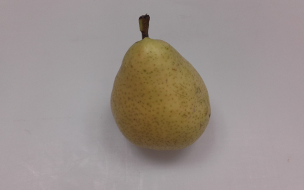 POIRE GUYOT FRANCE CAL 70/75 CAT 2
