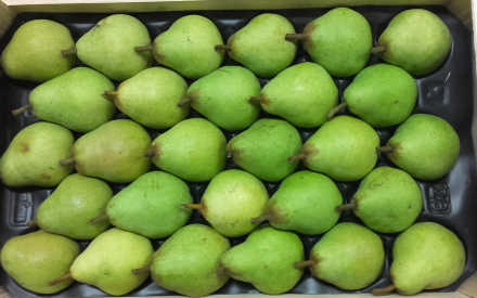 POIRE WILLIAMS au colis 4.13kg x 2.30€