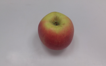 POMME pinova HVE France pilat cal 70 cat 2