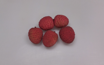 LITCHI mozambique cat 1