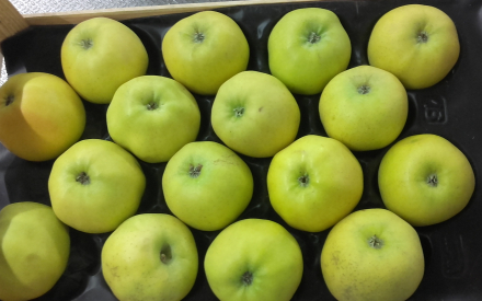 POMME Chanteclerc colis 7.25kg x 2.34€