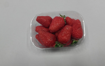 FRAISE GARIGUETTE 250 GR FRANCE CAT 1