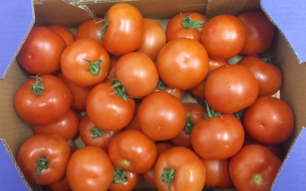 TOMATE RONDE cat 2 COLIS 6kg x 1.88€