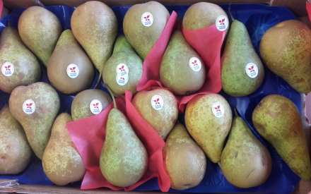 POIRE CONFERENCE colis 4.31kg x 2.20€