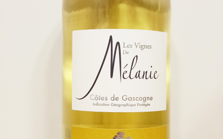Gascogne mélanie blanc (75cl)
