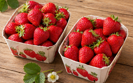 FRAISE 500gr  lot de 2 bqts