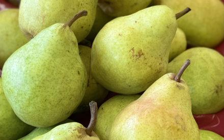 POIRE william france cal 70 cat 2