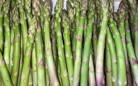 ASPERGE VERTE vrac Espagne cat 2