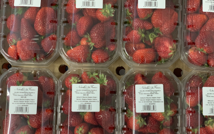 FRAISE barq 500 gr Espagne cat 1
