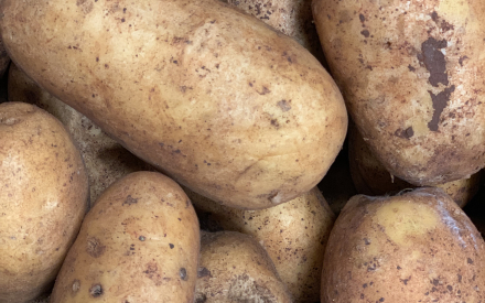 P.T. NOUVELLE SPUNTA ITALIE CAT 2