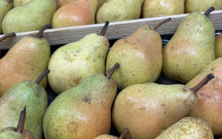 POIRE WILLIAM italie CAT 2