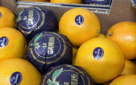 ORANGE ESPAGNE  CAT 2 N4