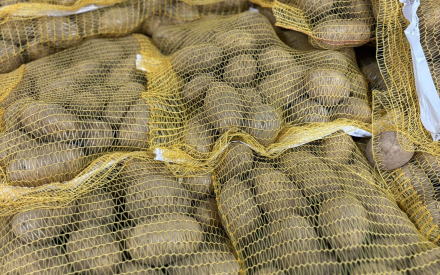 PT Non lavée variété Bintje sac 10KG France Cat 2
