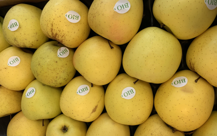 POMME GOLDEN BIO france colis soit 4.63kg x 2.90€