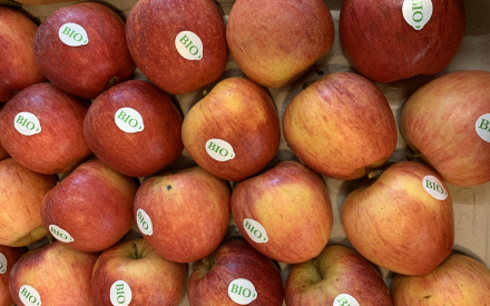 Pomme Gala bio COLIS France 4.24kg x 2.89€