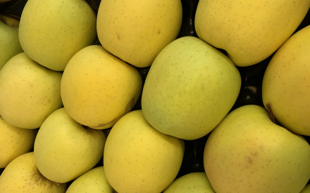 Pomme Golden GROSSE pltx 1 rang COLIS 4.38kg x 1.83€