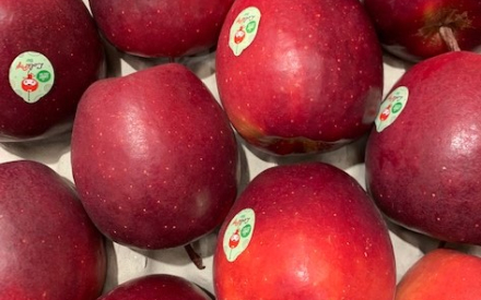 POMME BIO lolipop france cat 2 cal 200