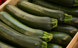 COURGETTE espagne cat 2