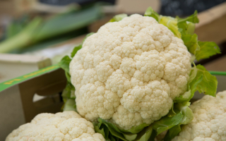 CHOU-FLEUR LOT 2 PIECES FRANCE CAT2