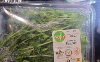 GERME DE PETIT POIS 50GR