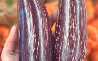 AUBERGINE RAY?E FRANCE CAT2