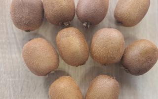 LOT 10 KIWI VERT GRÈCE CAL 33 CAT 2