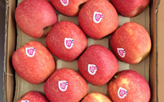 POMME PINK LADY FRANCE LE COLIS 3.97KG x 3€75