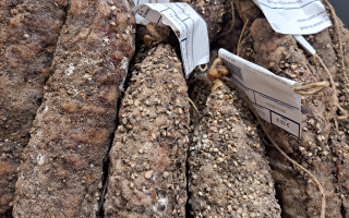 SAUCISSON SEC AU POIVRE