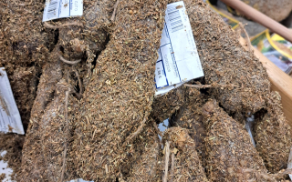 SAUCISSON SEC HERBES PROVENCE