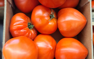 COLIS 2KG TOMATE C?TEL?E ROUGE/JAUNE COULEUR  FRANCE CAT 2