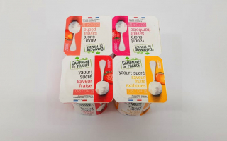 Yaourt aromatisé x4