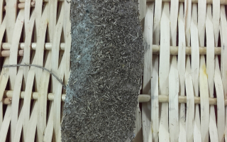 saucisson au poivre