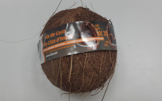 NOIX DE COCO cote d ivoire cat 1