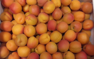 ABRICOT France cat 2 cal 2A colis de 5.00kg 3.80€