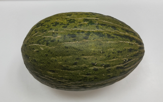 MELON VERT espagne cat 2