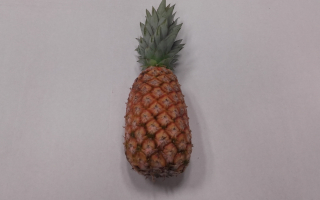 ANANAS pain de sucre cote d ivoire extra