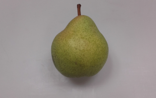 POIRE williams italie cal 70 cat 1
