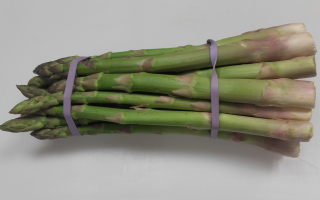 ASPERGE VERTE BOTTE france CAT 2