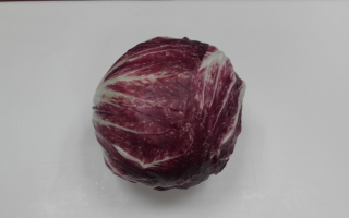 SALADE TREVISE italie cat 1