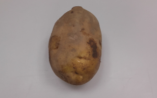 P DE TERRE speciale frites France