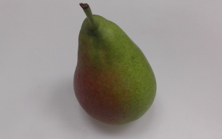 POIRE louise cal 65 cat 2 France
