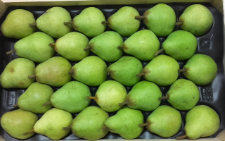 POIRE WILLIAMS au colis 4.06kg x 2.34€