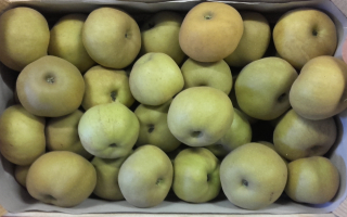 POMME CANADA GRISE France  cal150 colis 8.48kg x 1.89€