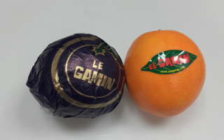 ORANGE lanelate gamin Argentine cal 3 cat 2